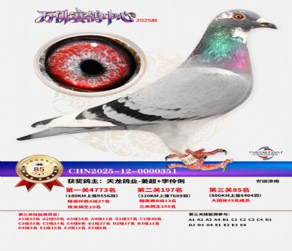 ����������85��