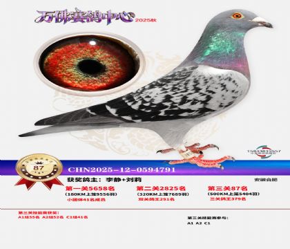 ����������87��