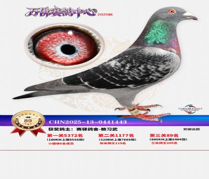 ����������89��