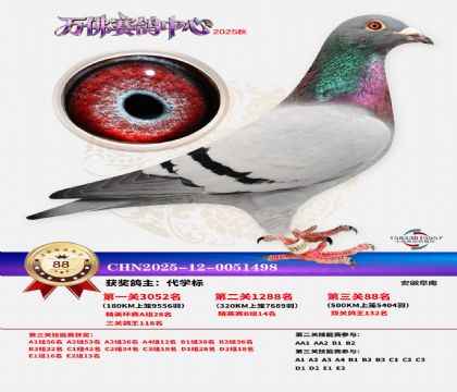 ����������88��