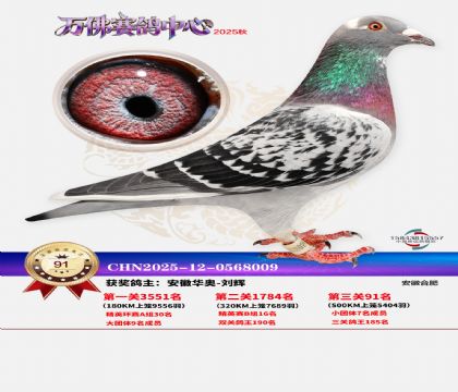 ����������91��