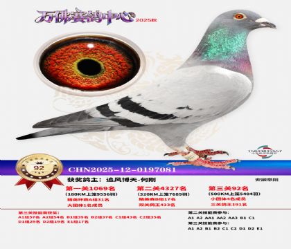 ����������92��