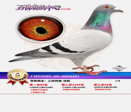 ����������94��