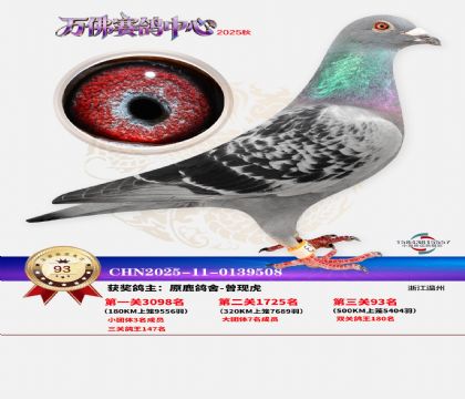 ����������93��