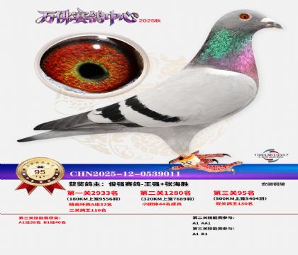 ����������95��