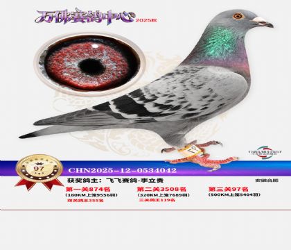 ����������97��