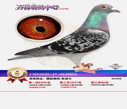 ����������96��