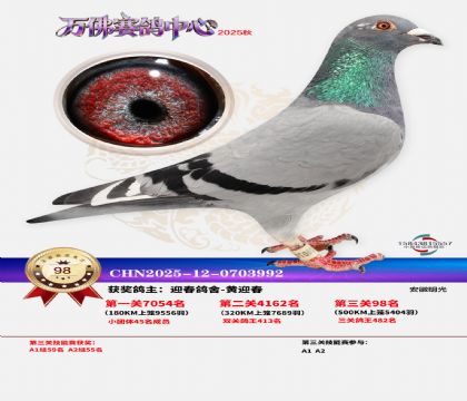 ����������98��