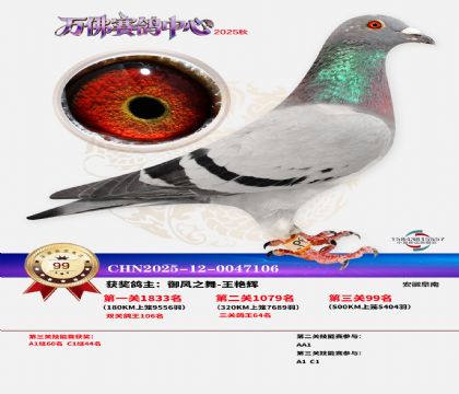 ����������99��