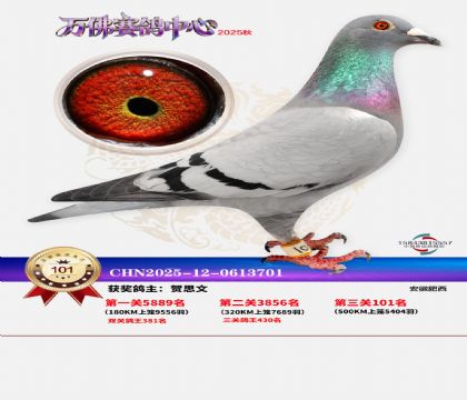 ����������101��