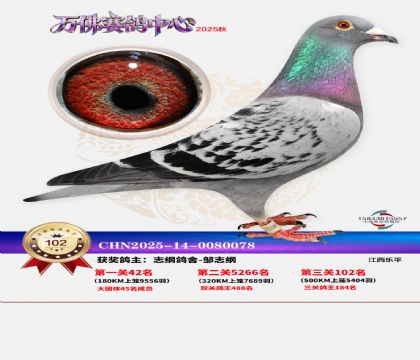 ����������102��