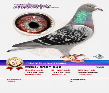 ����������103��