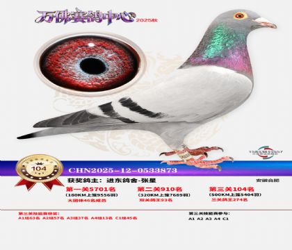 ����������104��