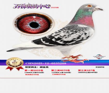 ����������107��