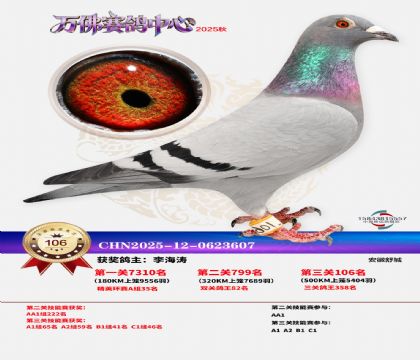 ����������106��