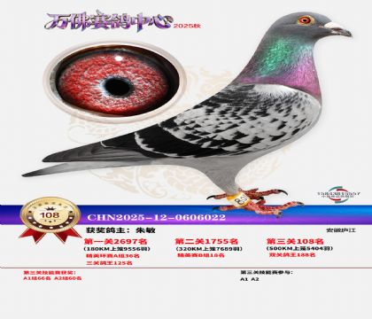 ����������108��