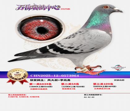 ����������109��