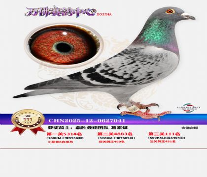 ����������111��