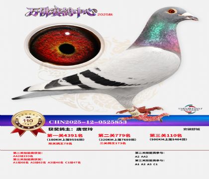 ����������110��