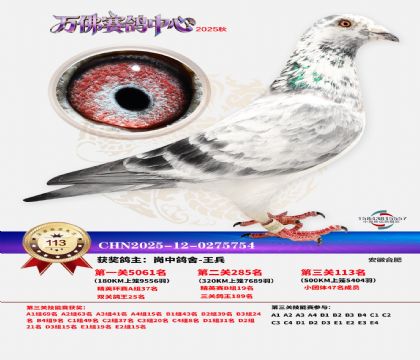 ����������113��