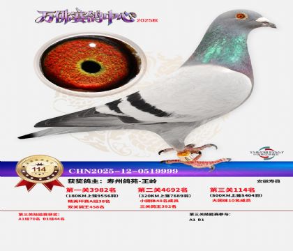 ����������114��