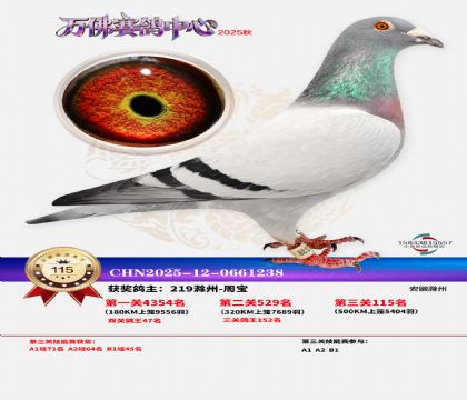 ����������115��