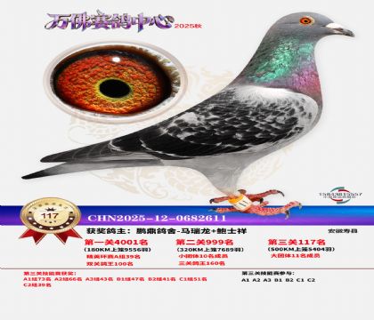 ����������117��