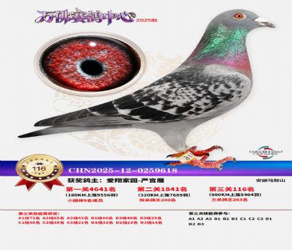 ����������116��