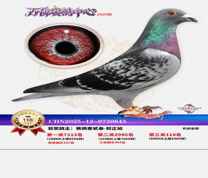 ����������118��