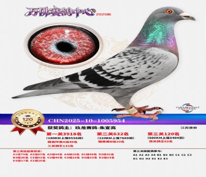 ����������120��