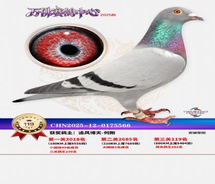 ����������119��