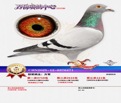 ����������121��