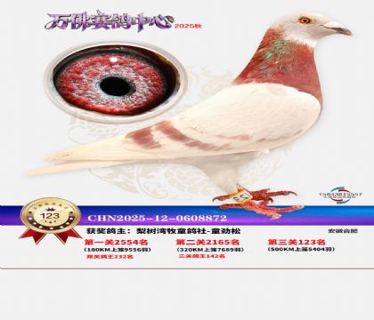 ����������123��