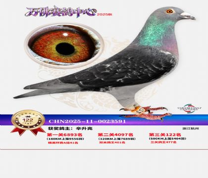 ����������122��