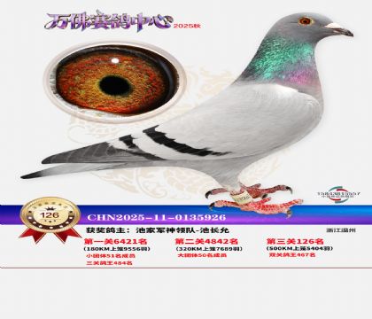 ����������126��