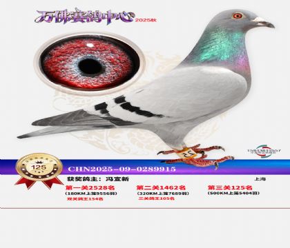 ����������125��