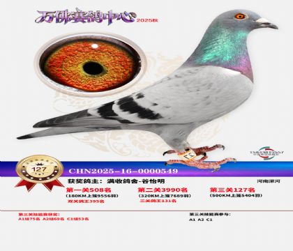 ����������127��