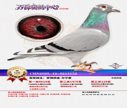 ����������129��