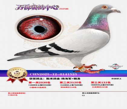 ����������132��