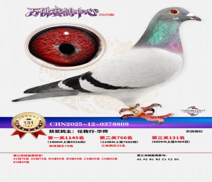 ����������131��