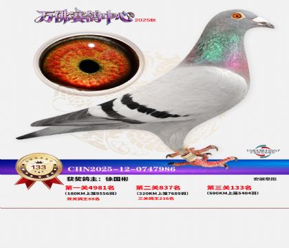 ����������133��