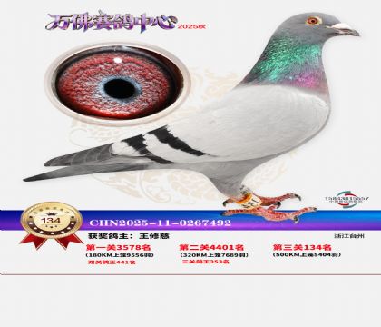 ����������134��