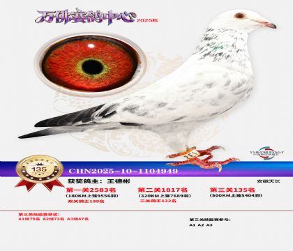 ����������135��