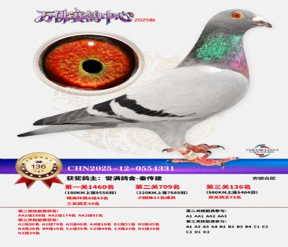 ����������136��