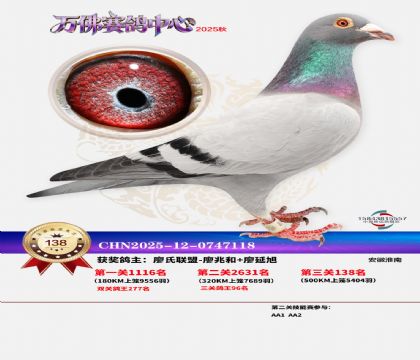 ����������138��