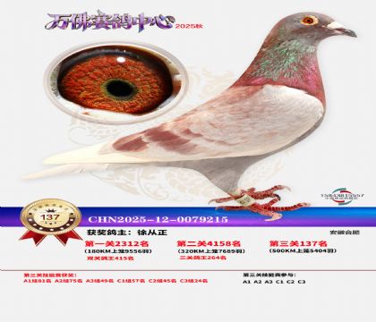 ����������137��