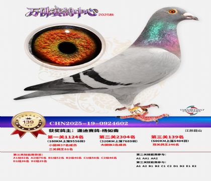 ����������139��