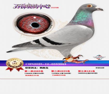 ����������141��