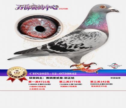 ����������142��