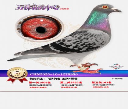 ����������143��